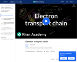 Electron Transport Chain