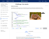 Challenge: Cat-stache