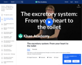 The Excretory System: From Your Heart to the Toilet