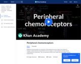 Peripheral Chemoreceptors