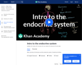 Intro to the Endocrine System