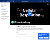 Introduction to Cellular Respiration