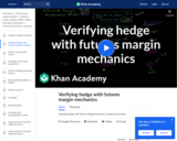 Verifying Hedge with Futures Margin Mechanics