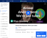Animal Development: We're Just Tubes