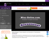 Wisc-Online Dietary Manager Training: Digestion and Absorption of Carbohydrates