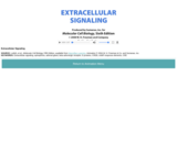 Extracellular Signaling
