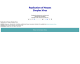 Replication of Herpes Simplex Virus