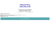 Influenza Virus Entry into a Cell