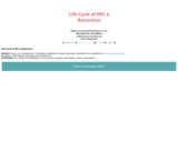 Life Cycle of HIV, a Retrovirus (Part 2)