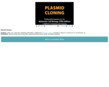 Plasmid Cloning