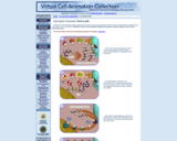 Virtual Cell Animation: Glycolysis - An Overview