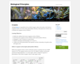 Gatech Bio 1510 - Module 03 : C4 plants