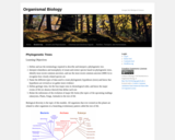 Gatech Bio 1520 -  Module 01 : Phylogenetic Trees