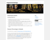 Gatech Bio 1520 -  Module 03 : Animal Sensory Systems