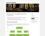 Gatech Bio 1520 -  Module 02 : Plant Development I: Tissue differentiation and function