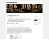 Gatech Bio 1520 -  Module 04 : The Mammalian Cardiac Cycle