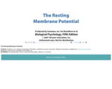 The Resting Membrane Potential