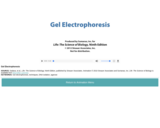 Gel Electrophoresis