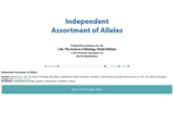 Independent Assortment of Alleles