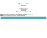 Life Cycle of HIV, a Retrovirus