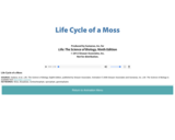 Life Cycle of a Moss