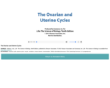 The Ovarian and Uterine Cycles