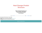 Heat Changes Protein Structure