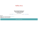 Reflex Arcs (Part 2)
