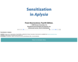 Sensitization in Aplysia