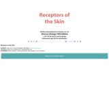 Receptors of the Skin