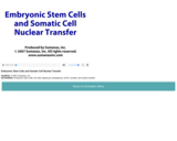 Embryonic Stem Cells and Somatic Cell Nuclear Transfer (extended version)