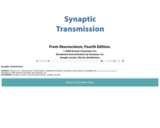 Synaptic Transmission