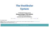 The Vestibular System