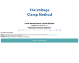 The Voltage Clamp Method