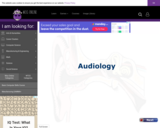 Wisc-Online Audiology