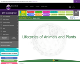 Wisc-Online Lifecycles of Animals and Plants