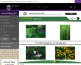 Wisc-Online The Plant Kingdom: An Introduction