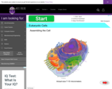 Wisc-Online Eukaryotic Cells: Assembling the Cell