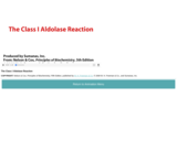 The Class I Aldolase Reaction