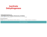 Isocitrate Dehydrogenase