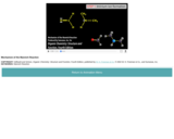 Mechanism of the Mannich Reaction