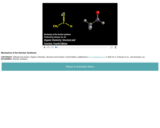 Mechanism of the Strecker Synthesis