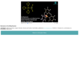 Mechanism of the Wittig Reaction