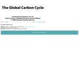 The Global Carbon Cycle