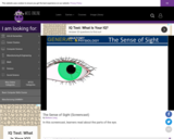 Wisc-Online The Sense of Sight