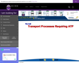 Wisc-Online Transport Processes Requiring ATP