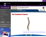 Wisc-Online The Vertebral Column