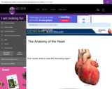 Wisc-Online The Anatomy of the Heart