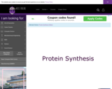 Wisc-Online Protein Synthesis