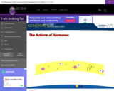 Wisc-Online The Actions of Hormones